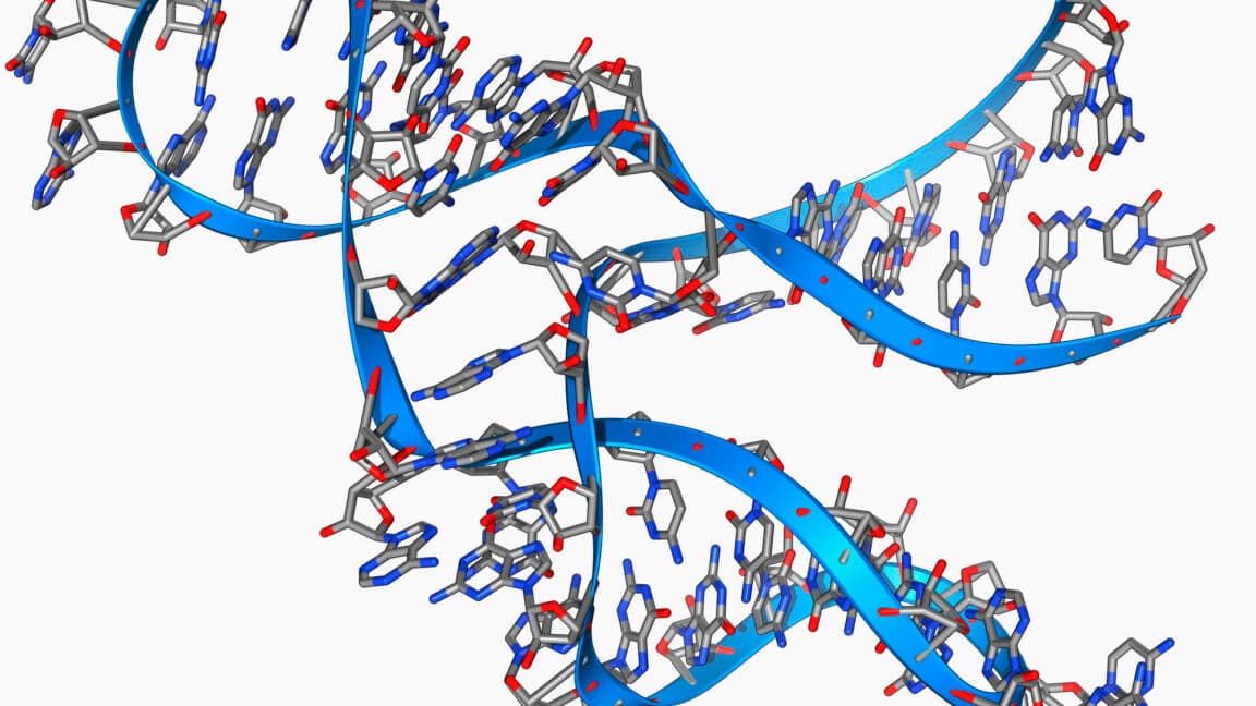 Minik, 45 baz uzunluğundaki RNA, kendisinin kopyalarını oluşturabilir