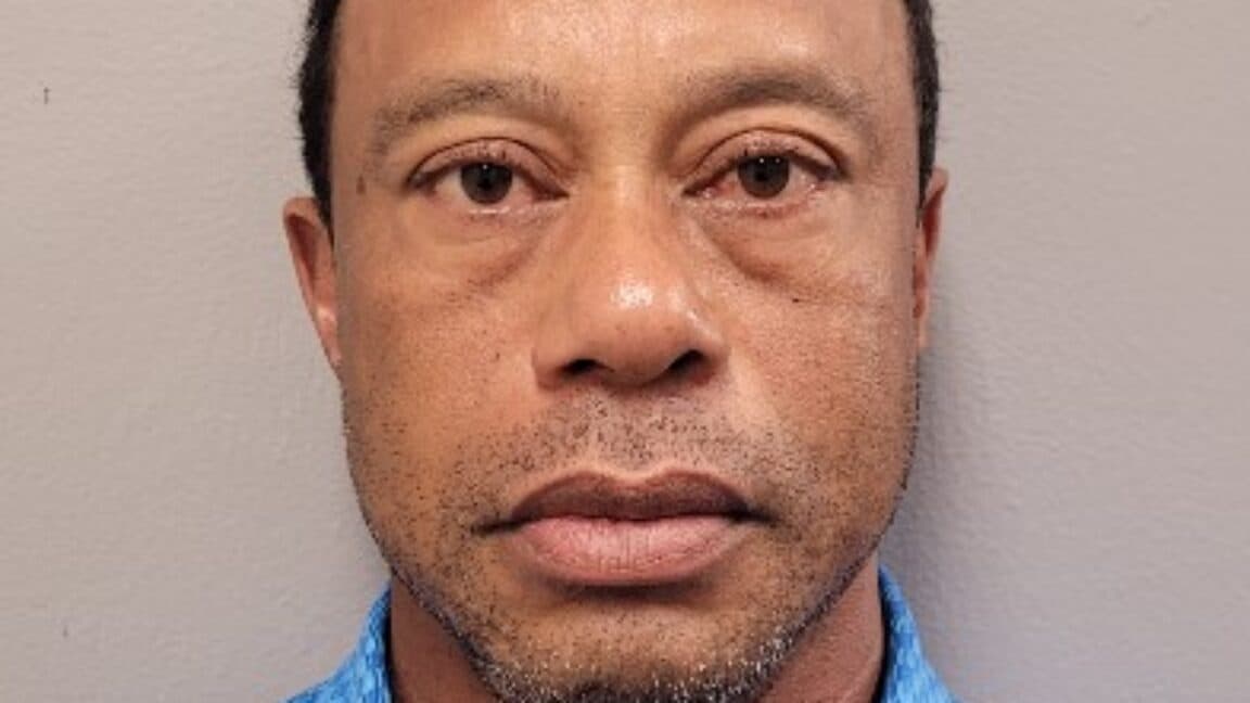 Terli, cam gözlü Tiger Woods, araba kazasından cep telefonunu sorumlu tutuyor
