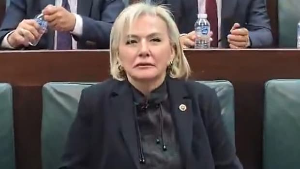 CHP'den istifa eden Nimet Özdemir AK Parti’ye katıldı! Rozetini Cumhurbaşkanı Erdoğan taktı