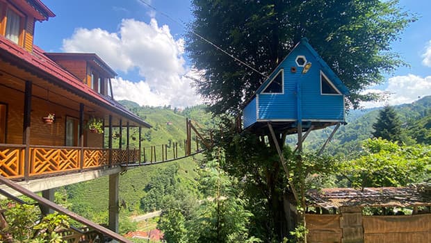 Rize'de sıra dışı çözüm: Çocukluk hayalleri olan ağaç eve asma köprüyle ulaşım