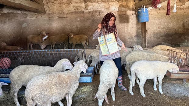 Eskişehir'de "büyü" iddiasıyla öldürülen çiftçinin eşi, iki oğlunu okutmak için tek başına çobanlık yapıyor