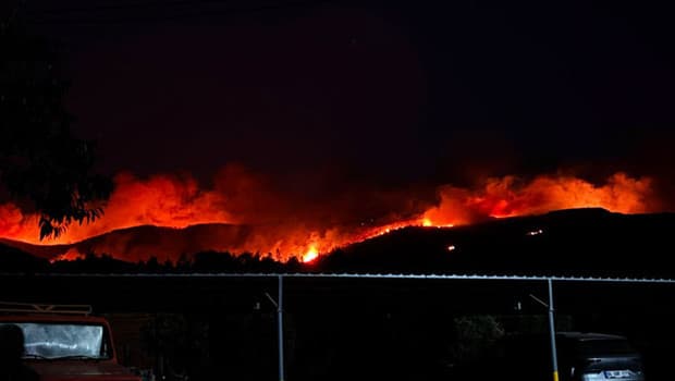 Milas'ta orman yangını! 1120 kişi tahliye edildi
