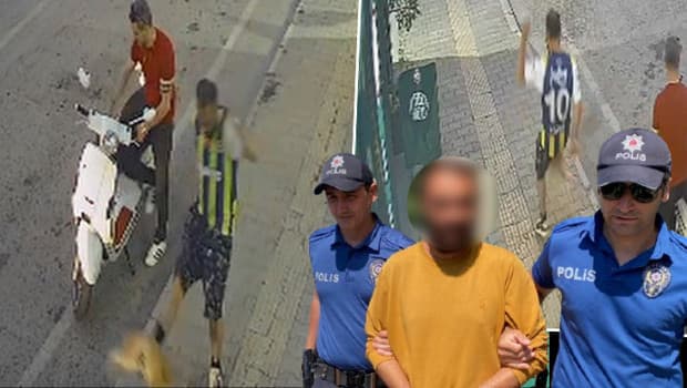 Samsun'da kediye tekme atan şüpheli tutuklandı! 'Sinirliydim, pişmanım'