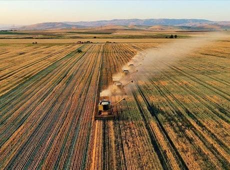 TÜİK: Tarımsal girdi fiyatları aralıkta arttı