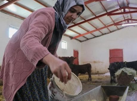Devlet desteğiyle hayvan sayısını 5 ayda 2'ye katladı: 'Çok mutluyum, kendi işimizi yapıyoruz'