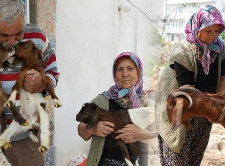Yardım ettiği komşusu tarafından şikayet edildi! Bütün mahalleyi yakan karar: Bir senelik emeği boşuna gitti
