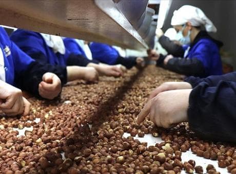 Kadın çalışanlar ihracata en fazla katkıyı Giresun'dan sağladı
