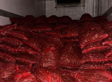 10 tonluk tehlike! Sofralara gidecekti, son anda yakalandı
