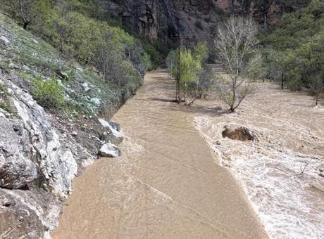 Tunceli’de Munzur Nehri taştı! Kara yolu sulara gömüldü, ulaşım durdu