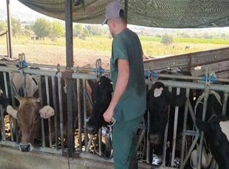Aydın’da 17 mahallede karantina tedbirleri alındı! Hayvan giriş çıkışı yasak