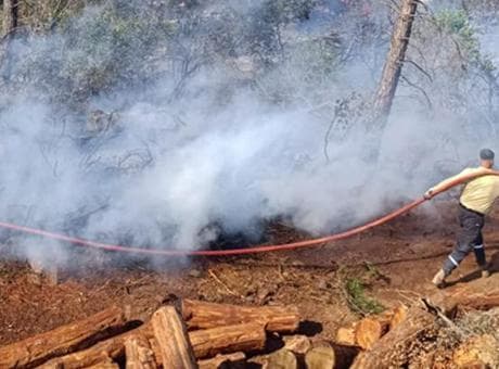Hatay'da iki farklı noktada orman yangını