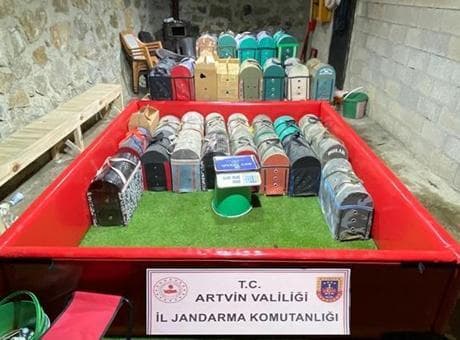 Artvin’de horoz dövüşü baskını! Bahis defteri çıktı, ceza yağdı