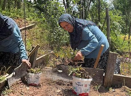 Sosyal medyada gezerken hayatının fırsatını yakaladı: Özel izin aldı, köyüne döndü! Fiyatı altınla yarışıyor