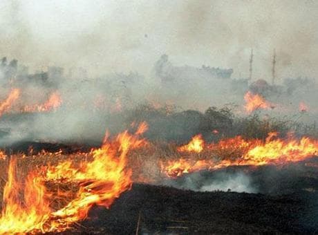 Kuru otları yakarken alevlerin ortasında kaldı! Yaşlı kadın hayatını kaybetti