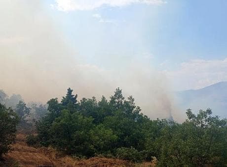 Malatya'da orman yangını! Müdahale başladı