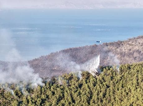 Muğla'da orman yangını: Alevler lüks villa ve otellerin bulunduğu alana yaklaştı