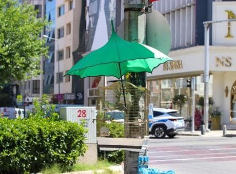İzmir sokaklarının yeni fenomeni! Şakir'i kaybedince Shakira için yeni çözüm buldu
